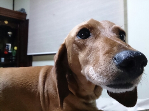 好きなものを好きと、嫌いなものを嫌いとこの場ではハッキリ伝えます