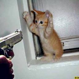 erogluali_89's profile picture. ...