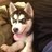 bucketsQP20's profile image
