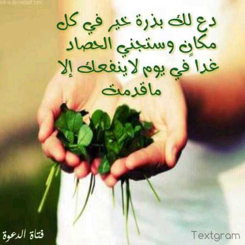 اللهم استرني فوق الارض وتحت الارض..وظلني في ظلك يوم لا ظل الا ظلك