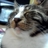 EMi706_628's profile image