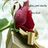 hind2211's profile image