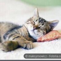 mariajo (@mariajomjdv) 's Twitter Profile Photo