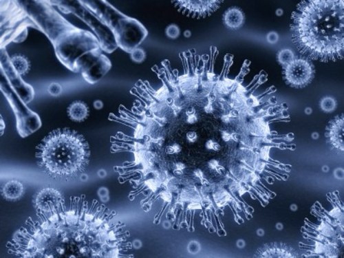 follow me and read my describtions about biology (spetially in pre medicine field ) also ask me your questions in bio :-)