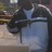 DSoundsBigD's profile image