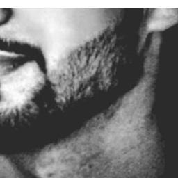 .
.
كيان , أباح رماد / ف قطن في العتاد , وتمرد  ورحل عن مسمئ بـلـاد *
..
هنا قبع قلمي *