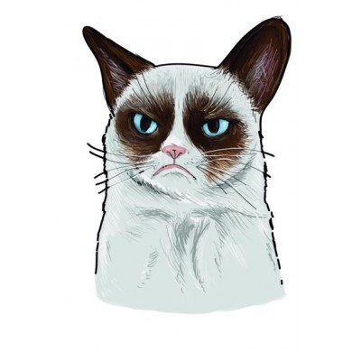 GrumpyCat