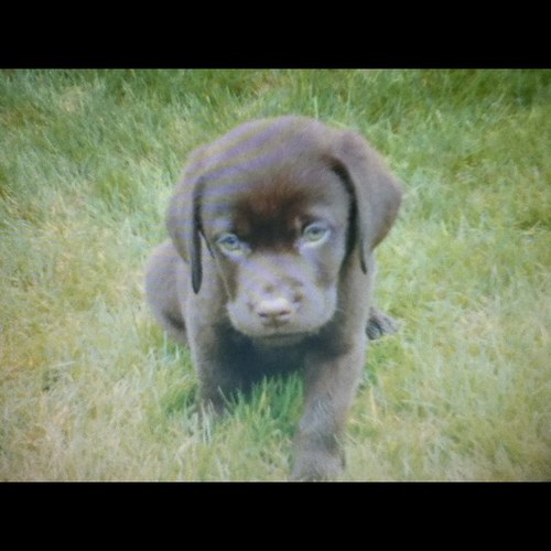 AaronMilward99's profile picture. Subcribe to me on youtube zF Friskky Xbox- zF Friskky