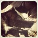 Vanessa McLaughlin - @vyjm29 - Twitter