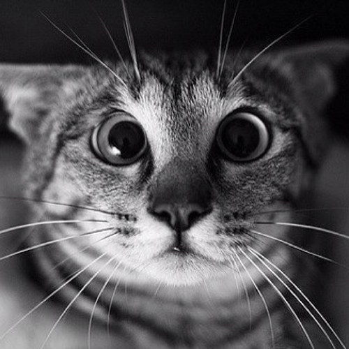 Давайте читать друг друга. #ВЗАИМНЫЙ #ФОЛЛОВИНГ #AutoFollowBack #TeamFollowBack #FollowBack #AutoFollow #InstantFollow #фолловинг #взаимныйфолловинг