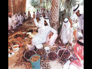 MrAl7mmadi's profile picture. 