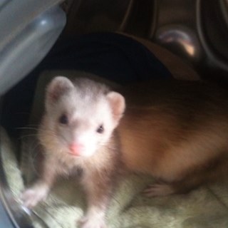 arlenerock's profile picture. 