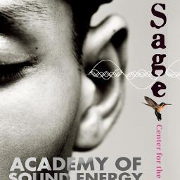 Academy Of Sound Energy~Sound Healing retreats~