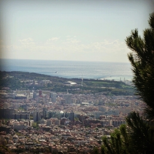 ifornt's profile picture. 