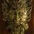 Pointonspottery's profile image