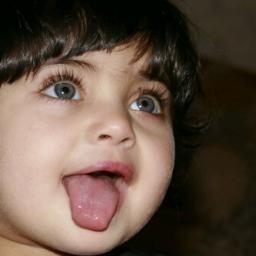 n5b2013's profile picture. 