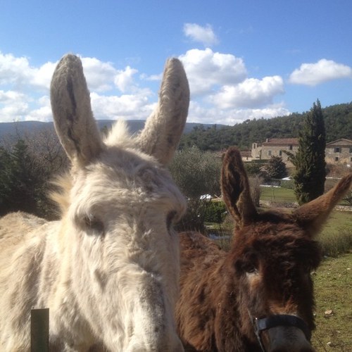 misteredmonton's profile picture. 