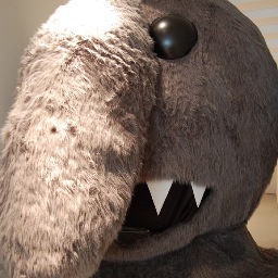 kissapollo's profile picture. 人文書編集者。語りえなかった言葉と記憶について追いかけています。大学院での専攻は社会学(特に視覚社会学)でした。
こちらのnoteの編集・管理もしています→https://t.co/SCSulEAd6F