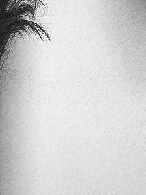 partsofmearebro's profile picture. parts of me are broken