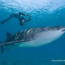 Sandra ELBE - @SandraELBE - Twitter