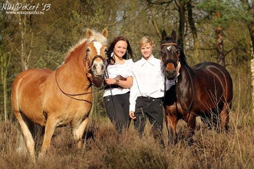 Eva Roemaat and Jesse Drent and their horses together are showteam Nalanta! Follow us for all the info about Nalanta and if you have questions, You can ask!