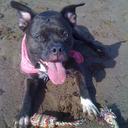 Bailey Shaw - @BaileyShaw9 - Twitter