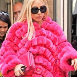 bee__monster's profile picture. LADY GAGA 

U 

RULES