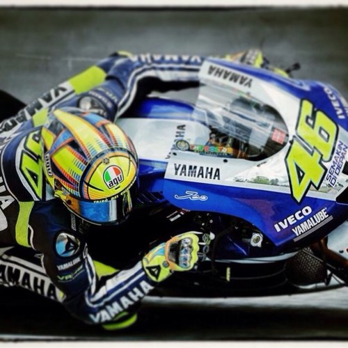 quinny_l's profile picture. 