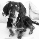 Rachel Stich - @StichRachel - Twitter