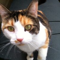 Tanis McNeely (@tanismcneely) 's Twitter Profile Photo Tanis McNeely (@tanismcneely) 's Twitter Profile Photo