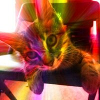 Liberty Jess (@jessj01) 's Twitter Profile
