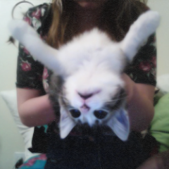 fixzain's profile picture. 