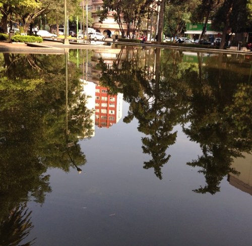 Polanco_df