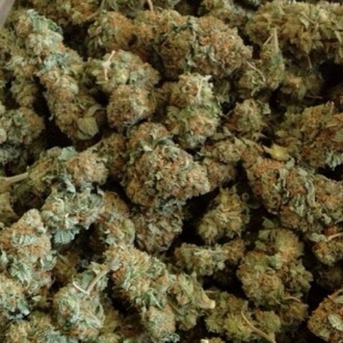 9itRichFukkBoi's profile picture. Yun9 Ass Ni9a Wit A 40, Blown On Dat 93