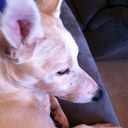 Trudy Baker - @trudybaker67 - Twitter