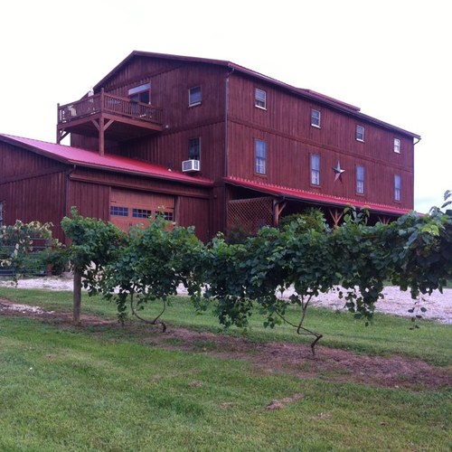 merryfamilywine's profile picture. Winery / Vineyard located in Rural Gallia County Ohio Family owned and operated.. Hand Crafted Wines