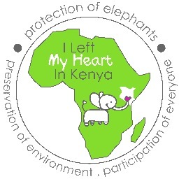Environmental and wildlife conservation specifically focused on human-elephant conflict mitigation through self-sustaining, community-driven initiatives.