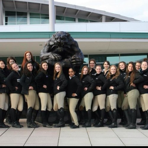 BingEquestrian's profile picture. Competitive equestrian team at Binghamton University, NY