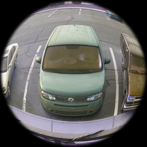 killabear666's profile picture. im a straight ninja