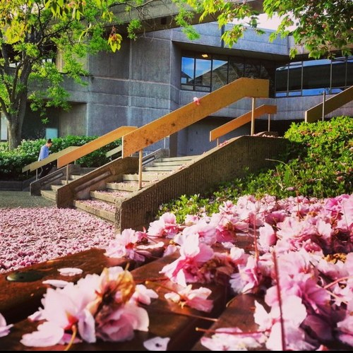 LeneKeng's profile picture. 