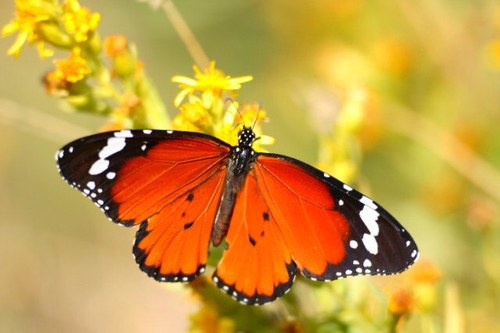 En la esencia de una gota tocaras lo intangible, en la profundidad de la ciencia veras lo imperceptible, es una virtud de Dios  para observar lo invisible.🔬