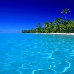 Success is a state of mind. If you want success, start thinking of yourself as a success.- Dr. Joyce Brothers