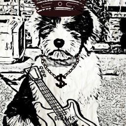 Old English Sheepdog owner for 23 plus years! Please Tweet  Fun photos, Ask Questions about the Breed!