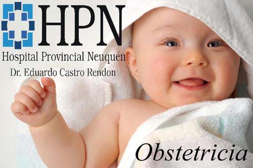 PROFESIONALES DE ENFERMERIA DEL SECTOR DE OBSTETRICIA DEL HOSPITAL PROVINCIAL NEUQUÉN(Eduardo.C. Rendón). Neuquen Capital. CP(8300).