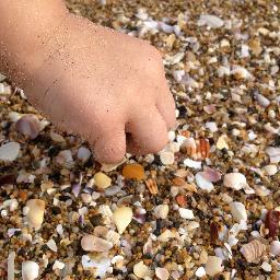 RaccoonSparkle's profile picture. 