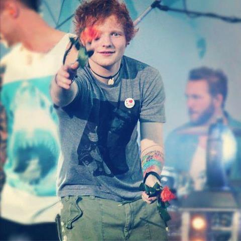 hey...... i'm sheerio..
love ed sheeran forever !!!!
17.2  edward christopher sheeran