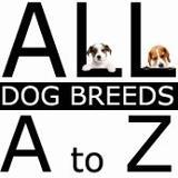 All dog breeds A to Z