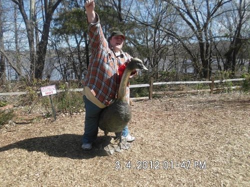 almostdio's profile picture. 