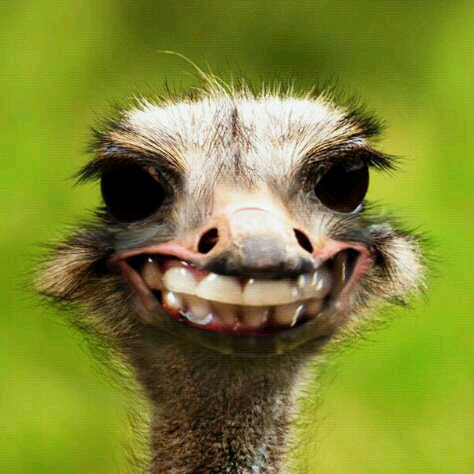 denver_189's profile picture. 