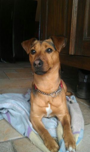 ChantalG1971's profile picture. 